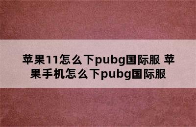 苹果11怎么下pubg国际服 苹果手机怎么下pubg国际服